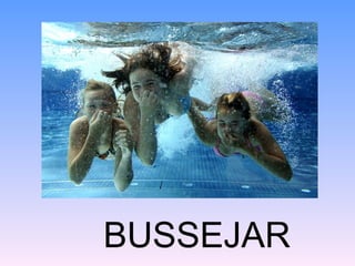 BUSSEJAR
 