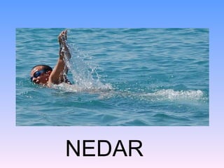 NEDAR
 