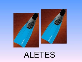 ALETES
 