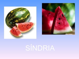 SÍNDRIA
 