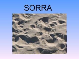 SORRA
 