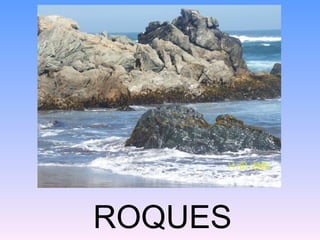 ROQUES
 