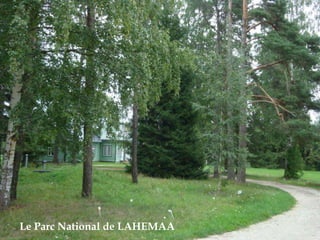 Le Parc National de LAHEMAA