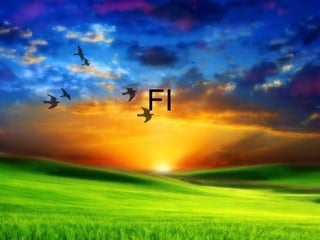 FI 