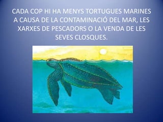 CADA COP HI HA MENYS TORTUGUES MARINES A CAUSA DE LA CONTAMINACIÓ DEL MAR, LES XARXES DE PESCADORS O LA VENDA DE LES SEVES CLOSQUES.