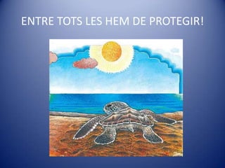 ENTRE TOTS LES HEM DE PROTEGIR!<br />