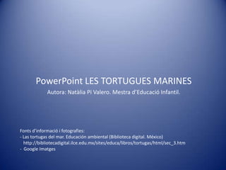 PowerPoint LES TORTUGUES MARINES<br />Autora: Natàlia Pi Valero. Mestra d’Educació Infantil.<br />Fonts d’informació i fot...