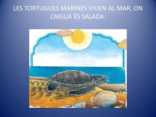 LES TORTUGUES MARINES VIUEN AL MAR, ON L’AIGUA ÉS SALADA.
