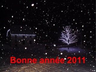 Bonne année 2011