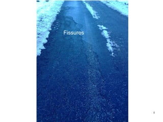 Fissures