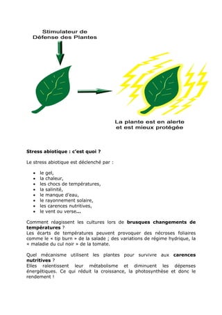 Stress abiotique : c’est quoi ?

Le stress abiotique est déclenché par :

   •   le gel,
   •   la chaleur,
   •   les chocs de températures,
   •   la salinité,
   •   le manque d’eau,
   •   le rayonnement solaire,
   •   les carences nutritives,
   •   le vent ou verse…

Comment réagissent les cultures lors de brusques changements de
températures ?
Les écarts de températures peuvent provoquer des nécroses foliaires
comme le « tip burn » de la salade ; des variations de régime hydrique, la
« maladie du cul noir » de la tomate.

Quel mécanisme utilisent les plantes pour survivre aux carences
nutritives ?
Elles ralentissent leur métabolisme et diminuent les dépenses
énergétiques. Ce qui réduit la croissance, la photosynthèse et donc le
rendement !
 
