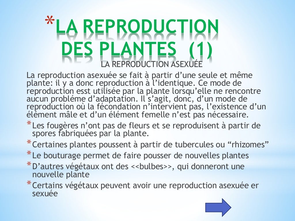 Les êtres vivants