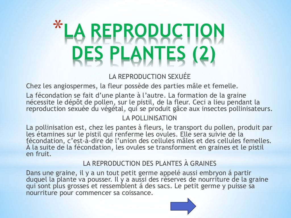 Les êtres vivants
