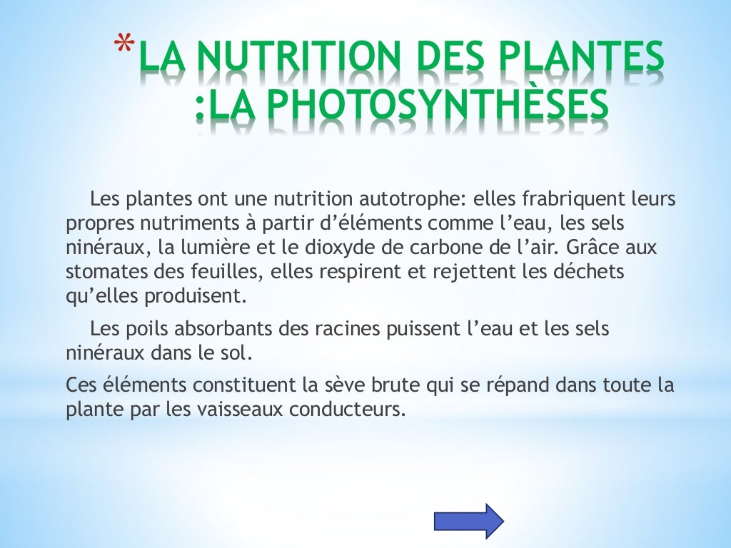 Les êtres vivants