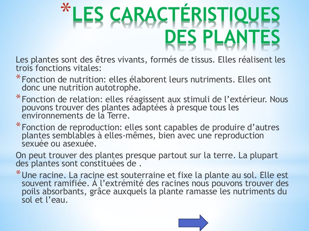 Les êtres vivants