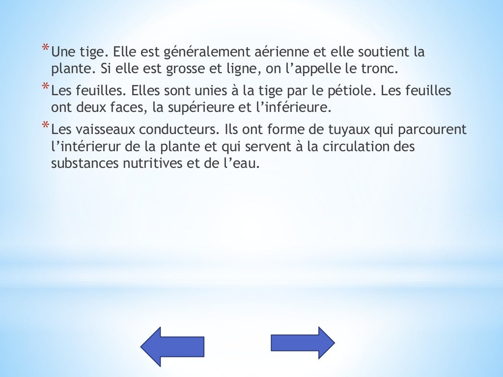 Les êtres vivants