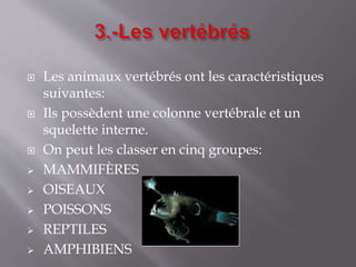  Les animaux vertébrés ont les caractéristiques
suivantes:
 Ils possèdent une colonne vertébrale et un
squelette interne.
 On peut les classer en cinq groupes:
 MAMMIFÈRES
 OISEAUX
 POISSONS
 REPTILES
 AMPHIBIENS
 