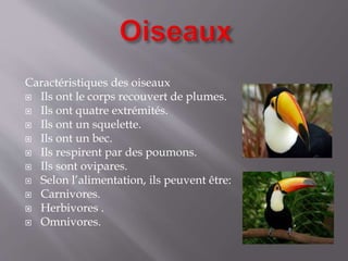 Caractéristiques des oiseaux
 Ils ont le corps recouvert de plumes.
 Ils ont quatre extrémités.
 Ils ont un squelette.
 Ils ont un bec.
 Ils respirent par des poumons.
 Ils sont ovipares.
 Selon l’alimentation, ils peuvent être:
 Carnivores.
 Herbivores .
 Omnivores.
 