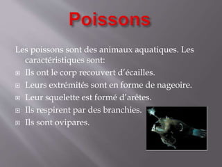Les poissons sont des animaux aquatiques. Les
caractéristiques sont:
 Ils ont le corp recouvert d’écailles.
 Leurs extrémités sont en forme de nageoire.
 Leur squelette est formé d’arêtes.
 Ils respirent par des branchies.
 Ils sont ovipares.
 