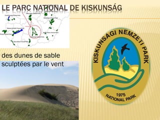 LE PARC NATIONAL DE KISKUNSÁG
des dunes de sable
sculptées par le vent
 
