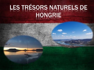 LES TRÉSORS NATURELS DE
HONGRIE
 