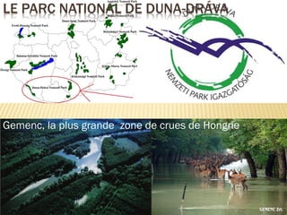 LE PARC NATIONAL DE DUNA-DRÁVA
Gemenc, la plus grande zone de crues de Hongrie
 