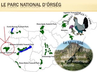 LE PARC NATIONAL D’ŐRSÉG
Le Mont Ság
- une butte-témoin
- du tuf volcanique,
du basalte
 