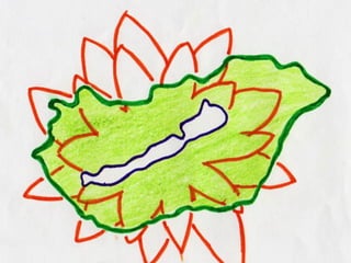 - soigne les maladies
nerveuses, des rhumatismes,
des problèmes musculairesdes nymphées rouges sur la
surface du lac
 