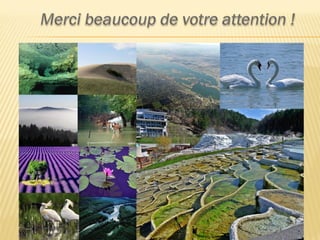 Les trésors naturels   hongrie