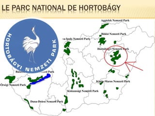 LE PARC NATIONAL DE HORTOBÁGY
 