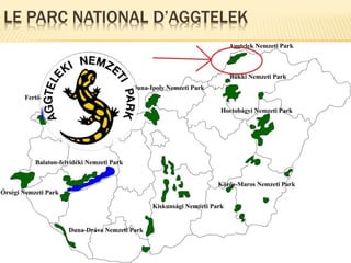 LE PARC NATIONAL D’AGGTELEK
 