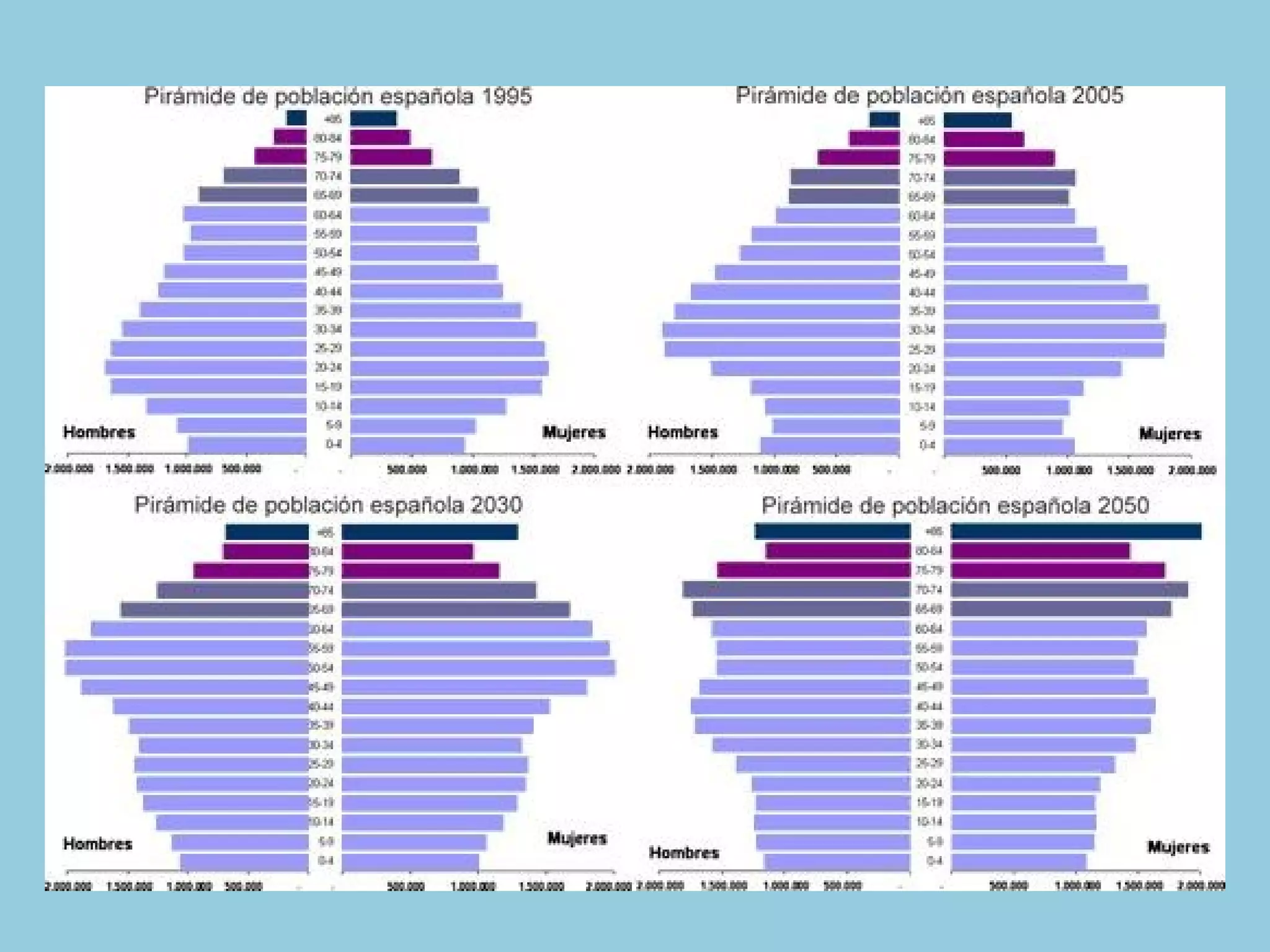 L’estructura de la població