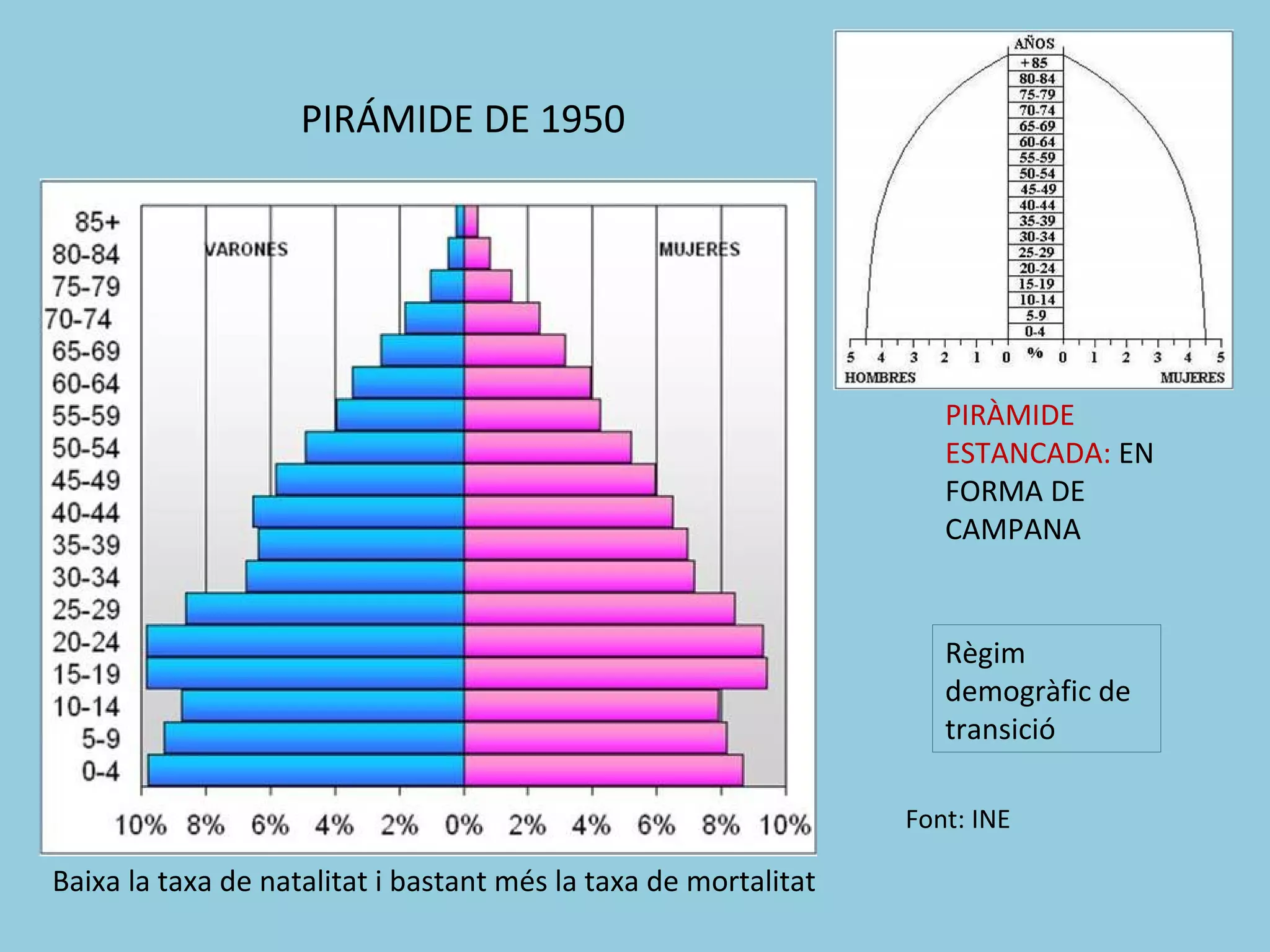 PIRÁMIDE DE 1950




                                                                    PIRÀMIDE
                                                                    ESTANCADA: EN
                                                                    FORMA DE
                                                                    CAMPANA


                                                                    Règim
                                                                    demogràfic de
                                                                    transició

                                                                 Font: INE

Baixa la taxa de natalitat i bastant més la taxa de mortalitat
 