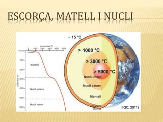 ESCORÇA, MATELL I NUCLI
 