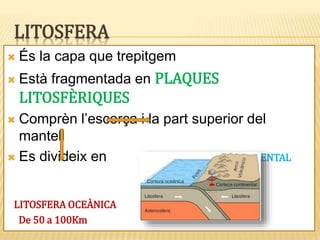 LITOSFERA
 És la capa que trepitgem
 Està fragmentada en PLAQUES
LITOSFÈRIQUES
 Comprèn l’escorça i la part superior del
mantell
 Es divideix en LITOSFERA CONTINENTAL
de 100 a 200km
LITOSFERA OCEÀNICA
De 50 a 100Km
 