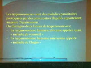 Les trypanosomes