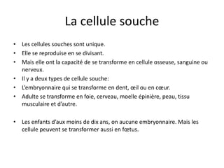 La cellule soucheLes cellules souches sont unique.Elle se reproduise en se divisant.Mais elle ont la capacité de se transforme en cellule osseuse, sanguine ou nerveux.Il y a deux types de cellule souche:L’embryonnaire qui se transforme en dent, œil ou en cœur.Adulte se transforme en foie, cerveau, moelle épinière, peau, tissu musculaire et d’autre.Les enfants d’aux moins de dix ans, on aucune embryonnaire. Mais les cellule peuvent se transformer aussi en fœtus. 