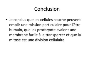 ConclusionJe conclus que les cellules souche peuvent emplir une mission particulaire pour l’être humain, que les procaryote avaient une membrane facile à le transpercer et que la mitose est une division cellulaire. 