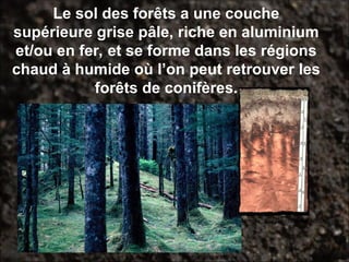 Les types de sols.2 1 2 3 (3) Les types de sols.2 1 2 3.ppt