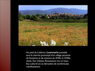 Au pied du Lubéron, Lourmarin possède
tout le charme provençal d'un village parsemé
de fontaines et de maisons du XVIIe et XVIIIe
siècle. Son château Renaissance est un haut-
lieu culturel où se déroulent de nombreuses
manifestations.
 