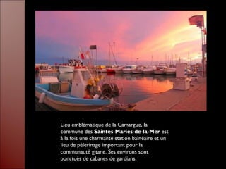 Lieu emblématique de la Camargue, la
commune des Saintes-Maries-de-la-Mer est
à la fois une charmante station balnéaire et un
lieu de pèlerinage important pour la
communauté gitane. Ses environs sont
ponctués de cabanes de gardians.
 