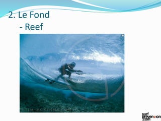 2. Le Fond
- Reef
 