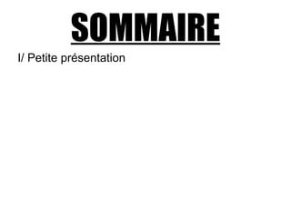 SOMMAIRE
I/ Petite présentation
 