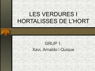 LES VERDURES I HORTALISSES DE L’HORT GRUP 1. Xavi, Arnaldo i Quique 