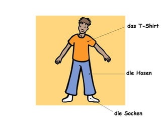 das T-Shirt 
die Hosen 
die Socken 
 