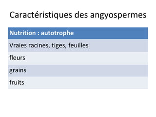 Caractéristiques des angyospermes Nutrition : autotrophe Vraies racines, tiges, feuilles fleurs grains fruits 