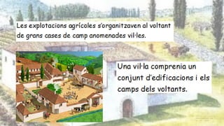 Les vil·les romanes