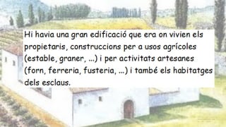 Les vil·les romanes