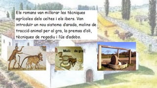 Les vil·les romanes
