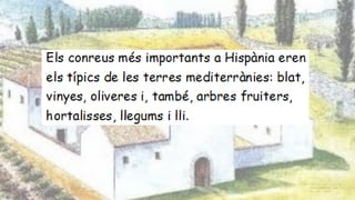 Les vil·les romanes